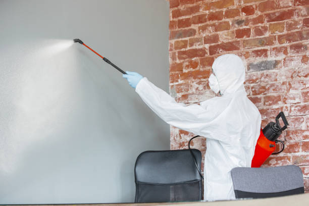 Best Mold Remediation for Healthcare Facilities  in Myers Corner, NY