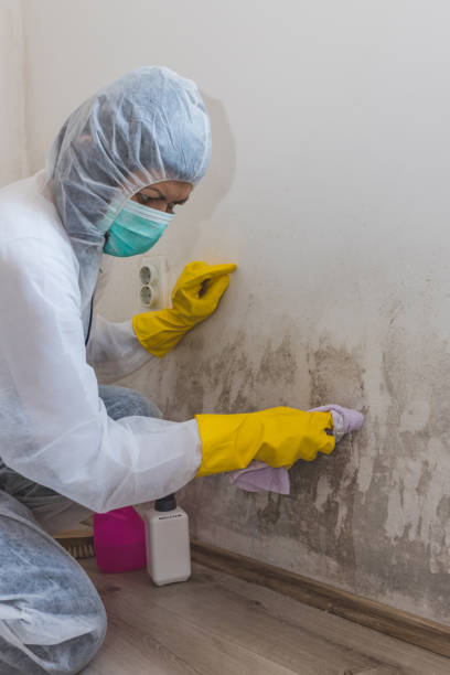 Best Water Damage & Mold Remediation  in Myers Corner, NY