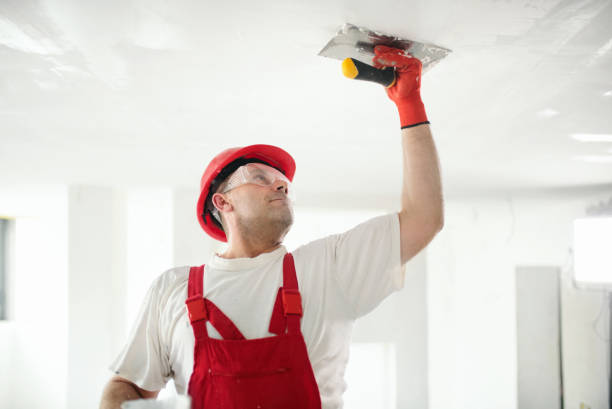 Best Asbestos and Lead Testing During Mold Inspection  in Myers Corner, NY