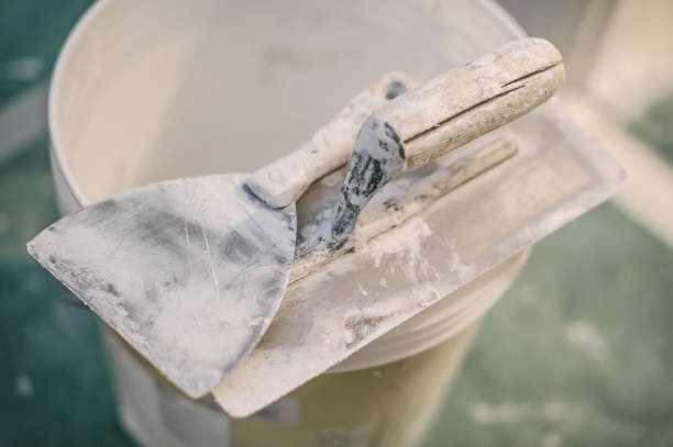 Best Mold Damage Restoration  in Myers Corner, NY